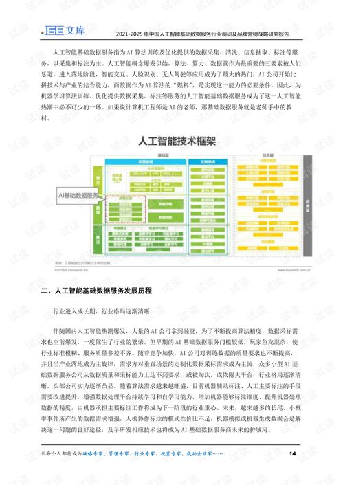 2021-2025年中國人工智能基礎數據服務行業調研及品牌營銷戰略研究報告